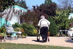 woman using walker